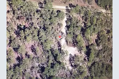 0 SW 87 Street, Dunnellon, FL 34432 - Photo 5