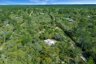 15605 NE 236th St, Fort Mc Coy, FL 32134 - Photo 49