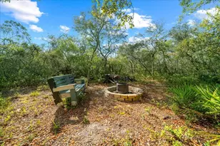 15605 NE 236th St, Fort Mc Coy, FL 32134 - Photo 11