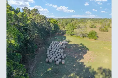 6405 NW 165th Street, Reddick, FL 32686 - Photo 15