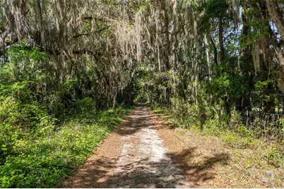 6405 NW 165th Street, Reddick, FL 32686 - Photo 13