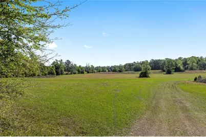 6405 NW 165th Street, Reddick, FL 32686 - Photo 9