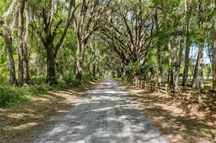 6405 NW 165th St, Reddick, FL 32686 - Photo 1