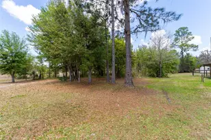 24525 NE 189th St, Fort Mc Coy, FL 32134 - Photo 47