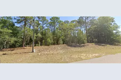 0 SW 102nd Street Road, Dunnellon, FL 34431 - Photo 3