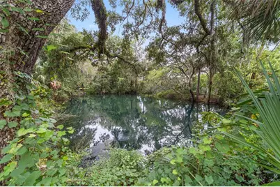 0 SW 102nd Street Road, Dunnellon, FL 34431 - Photo 19