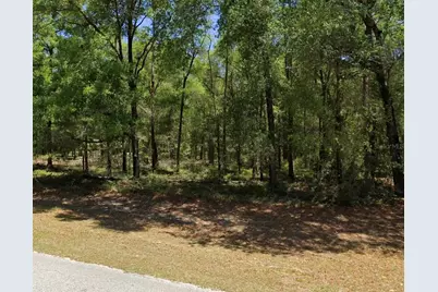 00 SW 102nd Street Road, Dunnellon, FL 34432 - Photo 1
