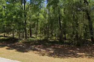 00 SW 102nd Street Rd, Dunnellon, FL 34432 - Photo 1