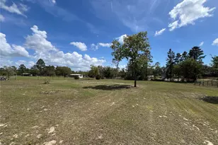 5351 NE 121st Terrace, Williston, FL 32696 - Photo 43