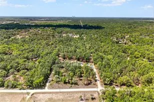 7576 N Heller Ave, Dunnellon, FL 34433 - Photo 25