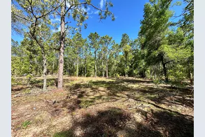 4 SW 157th Avenue #4, Ocala, FL 34481 - Photo 5