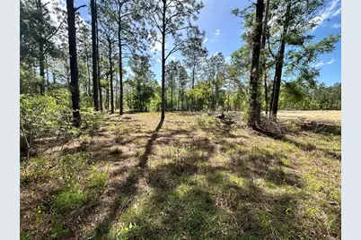 4 SW 157th Avenue #4, Ocala, FL 34481 - Photo 3