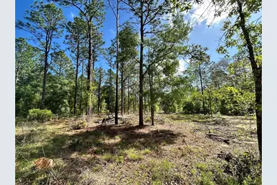 4 SW 157th Avenue #4, Ocala, FL 34481 - Photo 7