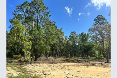 4 SW 157th Avenue #4, Ocala, FL 34481 - Photo 11