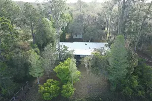 23797 NE 189th St, Fort Mc Coy, FL 32134 - Photo 11