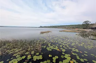 23797 NE 189th St, Fort Mc Coy, FL 32134 - Photo 95