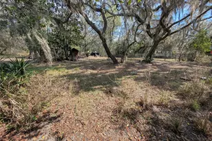23797 NE 189th St, Fort Mc Coy, FL 32134 - Photo 91
