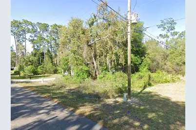 Se 178th Avenue, Silver Springs, FL 34488 - Photo 3