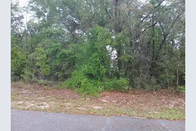 7851 N Vince Drive, Citrus Springs, FL 34434 - Photo 1