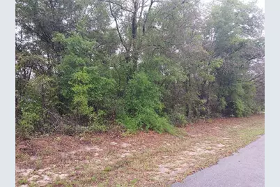 7851 N Vince Drive, Citrus Springs, FL 34434 - Photo 3