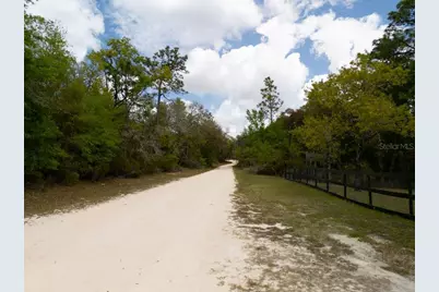 00 NE 131st Terrace, Bronson, FL 32621 - Photo 11