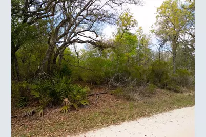 00 NE 131st Terrace, Bronson, FL 32621 - Photo 13