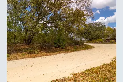 00 NE 131st Terrace, Bronson, FL 32621 - Photo 7