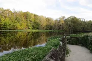 18167 SE 19th St, Silver Springs, FL 34488 - Photo 47