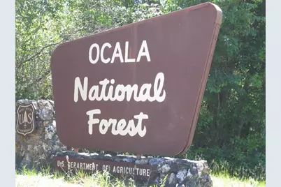 18167 SE 19th Street, Silver Springs, FL 34488 - Photo 59