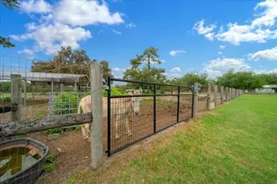 13456 W Hwy 318, Williston, FL 32696 - Photo 57