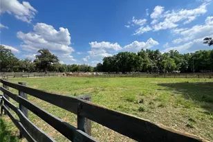 1575 NE 100th St, Anthony, FL 32617 - Photo 13