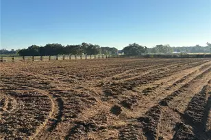 1575 NE 100th St, Anthony, FL 32617 - Photo 19