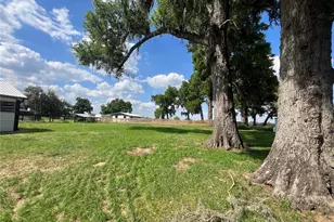 1575 NE 100th St, Anthony, FL 32617 - Photo 17