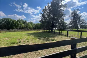 1575 NE 100th St, Anthony, FL 32617 - Photo 25