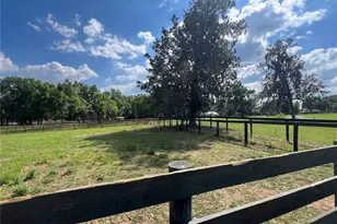 1575 NE 100th St, Anthony, FL 32617 - Photo 33