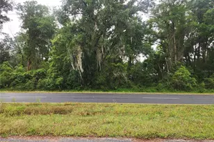 SE Hwy 484, Summerfield, FL 34491 - Photo 1