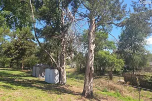 11 Bahia Ct Loop, Ocala, FL 34472 - Photo 13