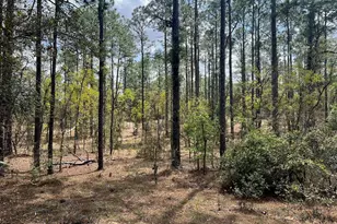 10th Street SE, Williston, FL 32696 - Photo 1