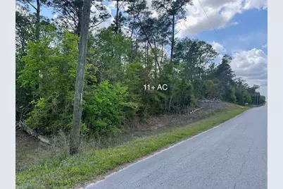 10th Street SE, Williston, FL 32696 - Photo 19