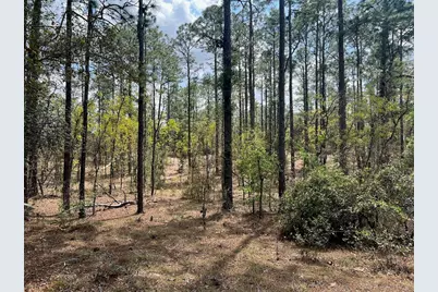 10th Street SE, Williston, FL 32696 - Photo 17