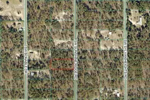 00 SW Sunshine Ridge, Dunnellon, FL 34431 - Photo 1