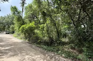 Tbd NE 130 Pl, Salt Springs, FL 32134 - Photo 1