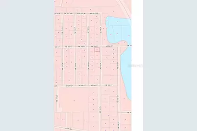 Tbd NE 130 Place, Salt Springs, FL 32134 - Photo 5