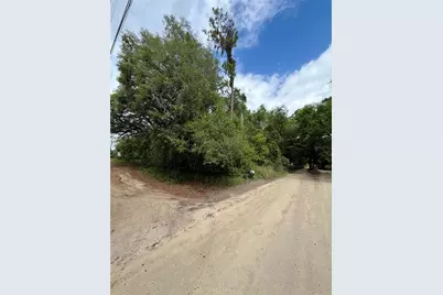 Tbd NE 130 Place, Salt Springs, FL 32134 - Photo 7