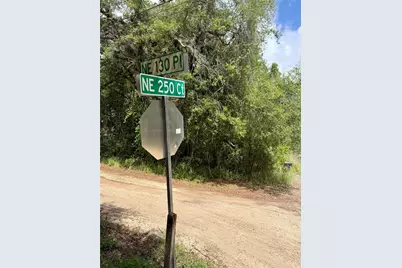 Tbd NE 130 Place, Salt Springs, FL 32134 - Photo 9