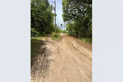 Tbd NE 130 Place, Salt Springs, FL 32134 - Photo 3