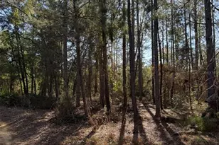 Tbt 5th Way, Interlachen, FL 32148 - Photo 1