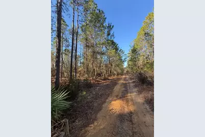 Tbt 5th Way, Interlachen, FL 32148 - Photo 7