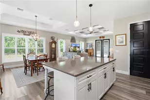 9689 E White Egret Path, Inverness, FL 34450 - Photo 13