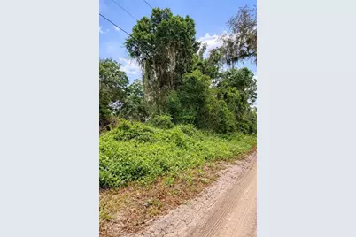 Tbd NE 52nd Court, Anthony, FL 32617 - Photo 3